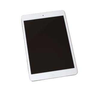 product (1)